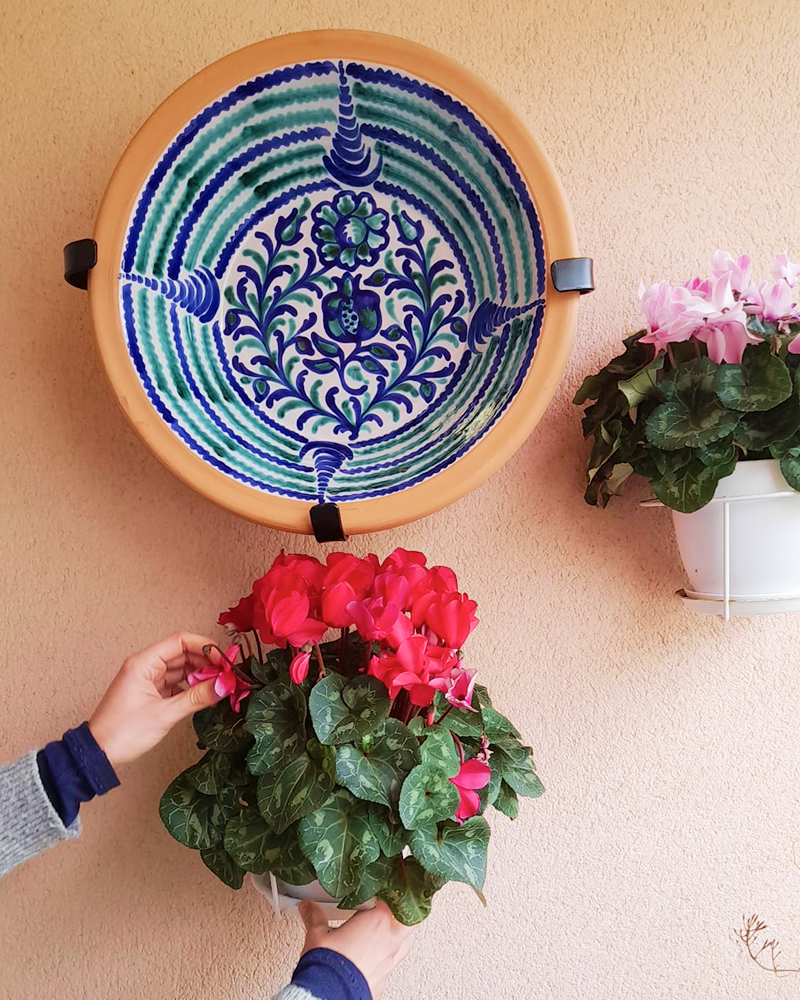 Lebrillo Wall Mount — CASA PLETÓRICA — Handmade Spanish Ceramics